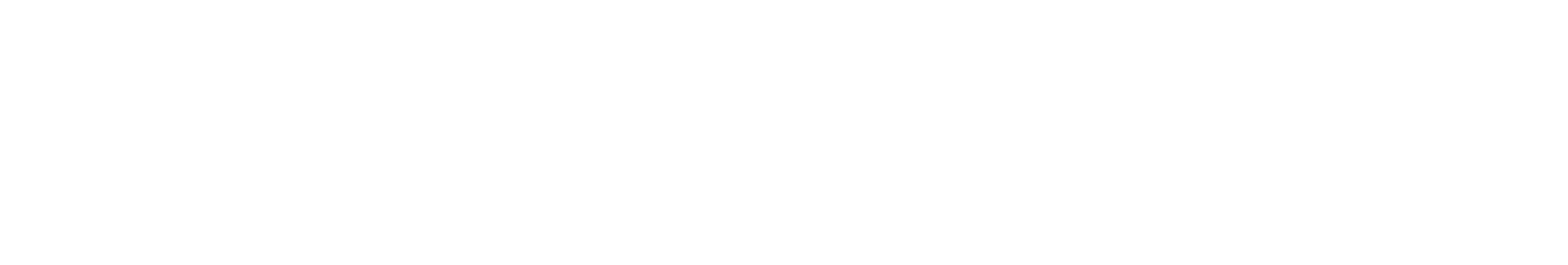 AllCampus Secondary Logo - White
